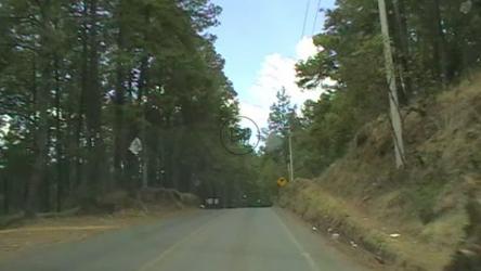 在自然之路上旅行的观点[免费商用]