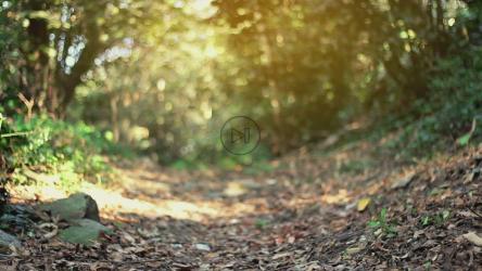 一个人在森林里逃离某物[]