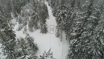 山间雪地森林中的小路[4K]