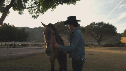 A rancher brushing horse's hair[4K免费商用]