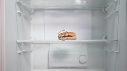 男子将食品杂货放入冰箱的延时[4K]