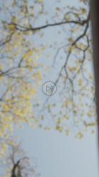 自然界中自行车车轮的仰视图[免费商用竖屏]