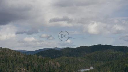 Clouds casting shadows over a forest[]