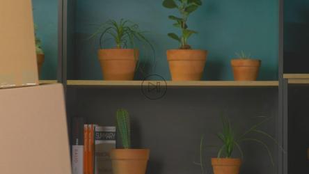 Couple arranging moving boxes[免费商用]