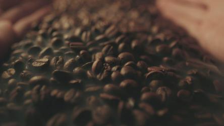 杯子手抓咖啡豆[]