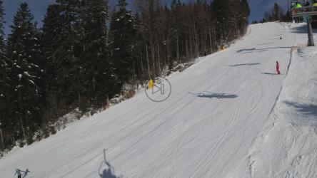 滑雪道上的阴影[4K]