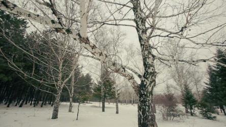 时尚男人在雪地里行走[]