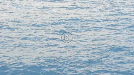 海洋表面特写[]