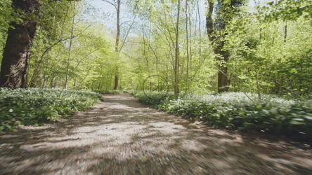 Woman jogging in woodland[4K]