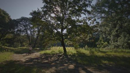 Talented cyclist doing a wheelie in nature[免费商用]