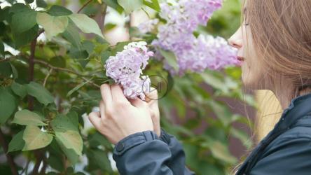 女孩从树上摘下花闻了闻[]