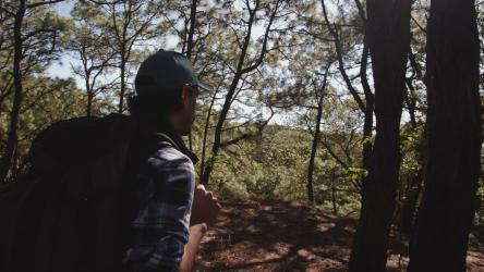 在森林中追踪一名男子[4K免费商用]