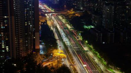 深圳城市夜间运动[4K]