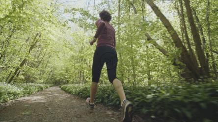 慢慢地穿过森林小路[4K]