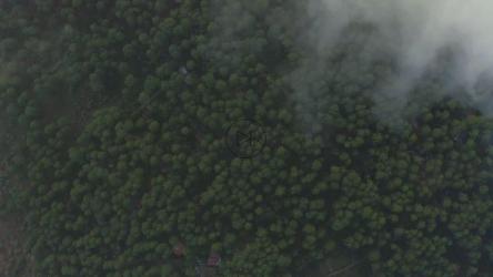 透过云层俯瞰大片森林[免费商用]