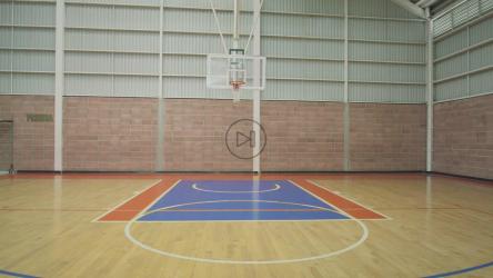 天才篮球运动员扣篮技术高超[免费商用]