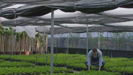 园丁在苗圃里照料植物[免费商用]