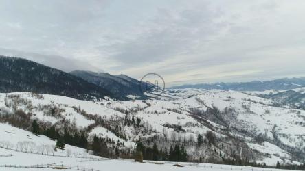 雪山山脉，上面有松树[4K]