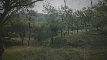 几个人在大自然中慢跑[免费商用]