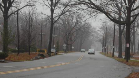 秋季公园交通[]