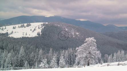 一座被雪覆盖的山和一片森林[]