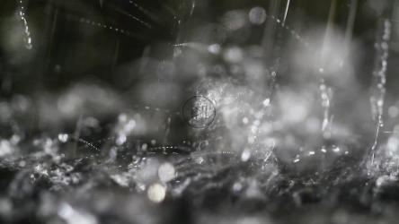 Splashing water from a fountain[]