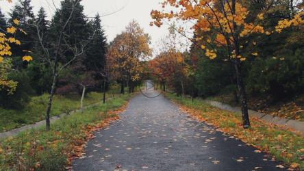 在下雨的秋天穿过公园的人[]