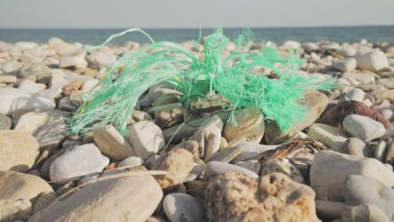 被污染的海滩[免费商用]