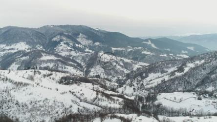 被雪和松树覆盖的山地地貌[4K]