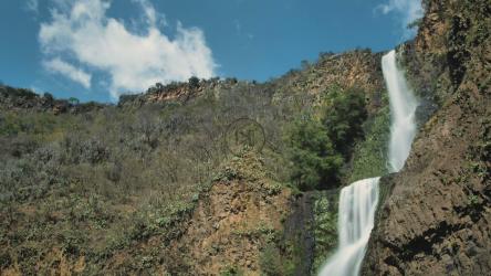 森林中的瀑布[4K免费商用]