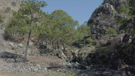 穿越多岩石山脉的干旱生态系统[免费商用]