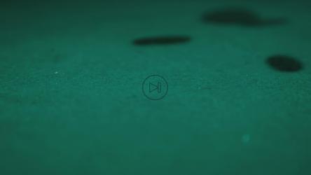 扑克筹码掉在游戏桌上[免费商用]