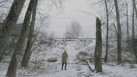 捕捉一列火车驶过森林[]