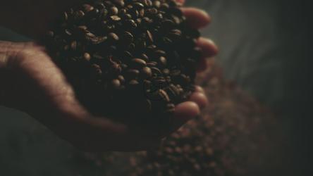 烤咖啡豆杯手[]