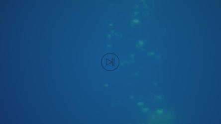 女人出水[4K免费商用]