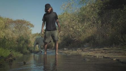 Person and dog walk in a creek[4K免费商用]