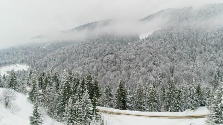 充满薄雾和松树的冰冻景观[4K]