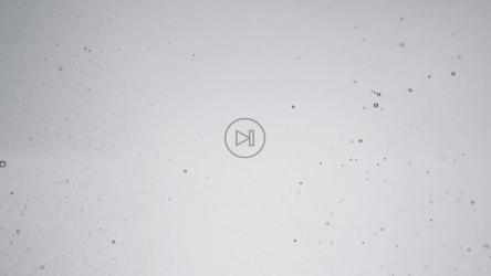 浮上水面的气泡[免费商用]