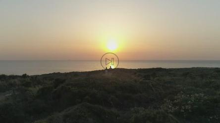 望着海岸上的日落[]