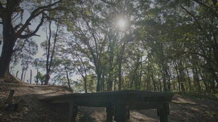 山地自行车手在树林里跳台[免费商用]