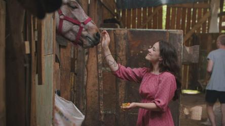 一个年轻的女人在马厩里抚摸着一匹马[4K]