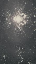 Sunlight through the branches of a tree[免费商用竖屏]