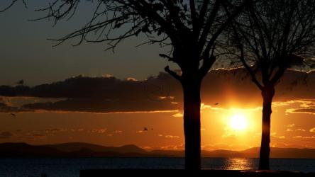 平静的日落中的风景剪影[4K]