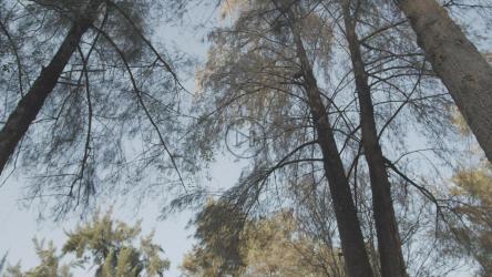 自行车之旅越过摄像机[免费商用]