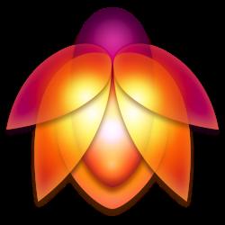 为照片添加效果和纹理Flare 22.2.7