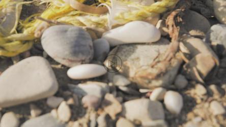 Garbage on the beach[免费商用]