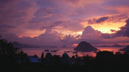 热带景观上的粉红色日落[4K]