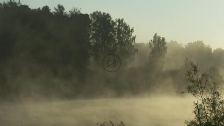 Mist in the forest lake[4K]