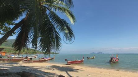 棕榈的影子划过沙滩[4K]