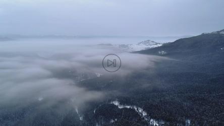 冬季森林上空乌云密布[4K]